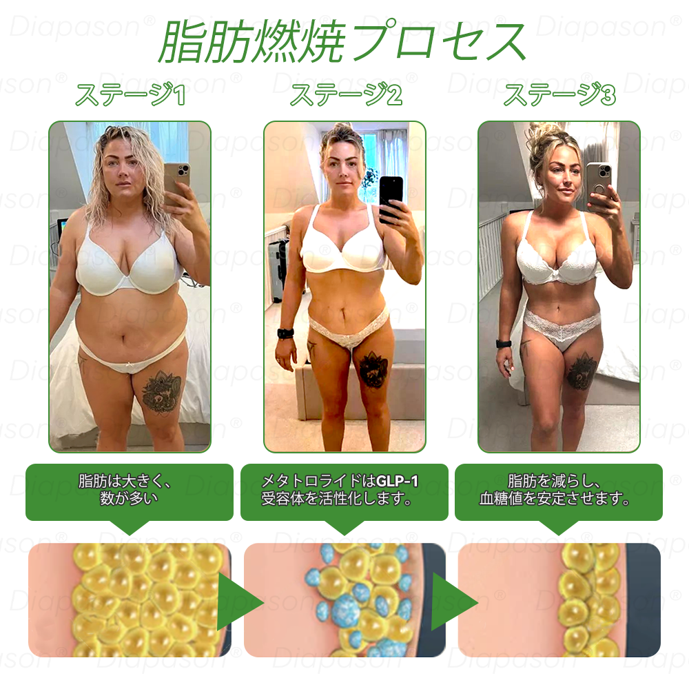 公式ストア | 𝐃𝒊𝓪𝐩𝓪𝙨𝐨𝒏® 💕💕GLP-1 7つが1つに 健康ソリューション経口液（1日1回、7日で効果を実感）対象：肥満、心血管の健康、糖尿病、睡眠時無呼吸、腸内環境、関節の問題など。